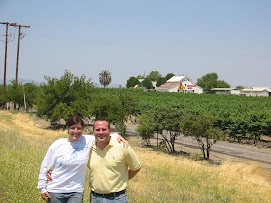 Paso Robles Wine Country