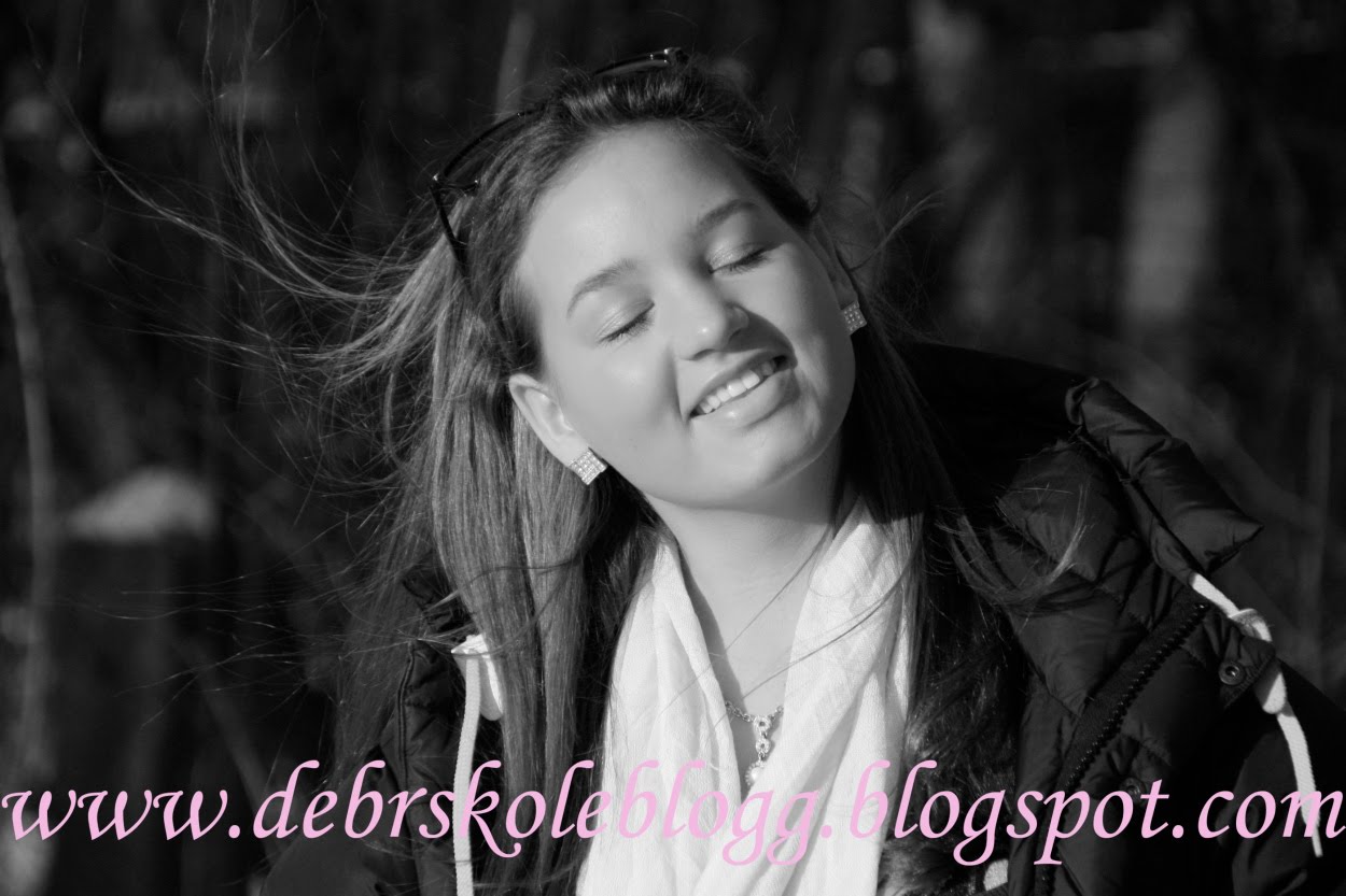 Daniela Rylander - skoleblogg