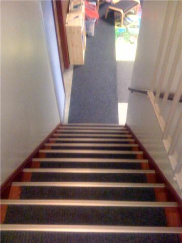 [basementsteps.jpeg]