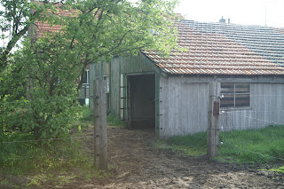 De kleine schuilstal van een afstand (foto: Marja van Run)