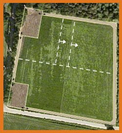 Strookbegrazing boswei (foto: Google Earth, bewerkt)