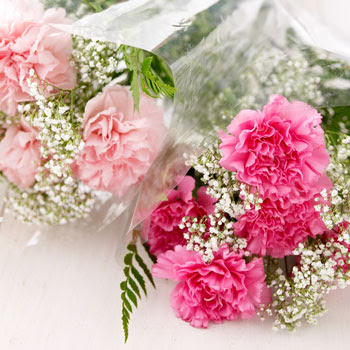 wedding cabaret budget friendly diy carnation bouquet wedding cabaret budget friendly diy carnation bouquet