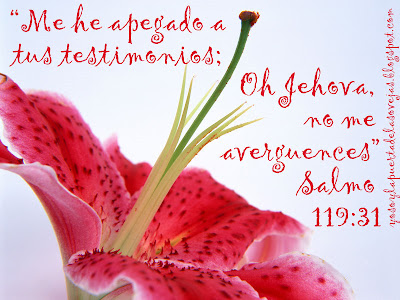 Salmo 119