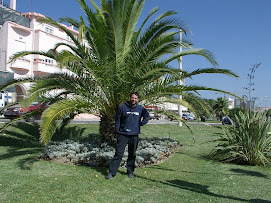 Yes des palmiers!!