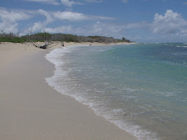 Plage de Petite Terre