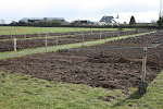 Allotment March 9th