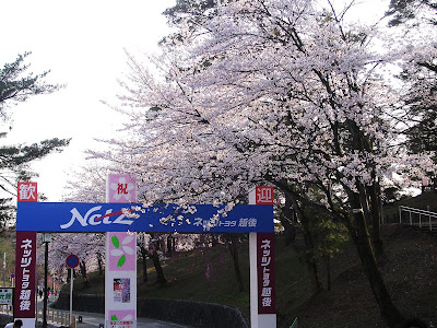 My Journey 花見