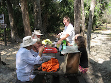 silver Glen springs picnic