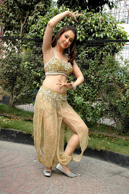 Hot Actress Preeti Jhangiani in Telugu Movie Tejam Photo Gallery at http://beautyceleb.blogspot.com/