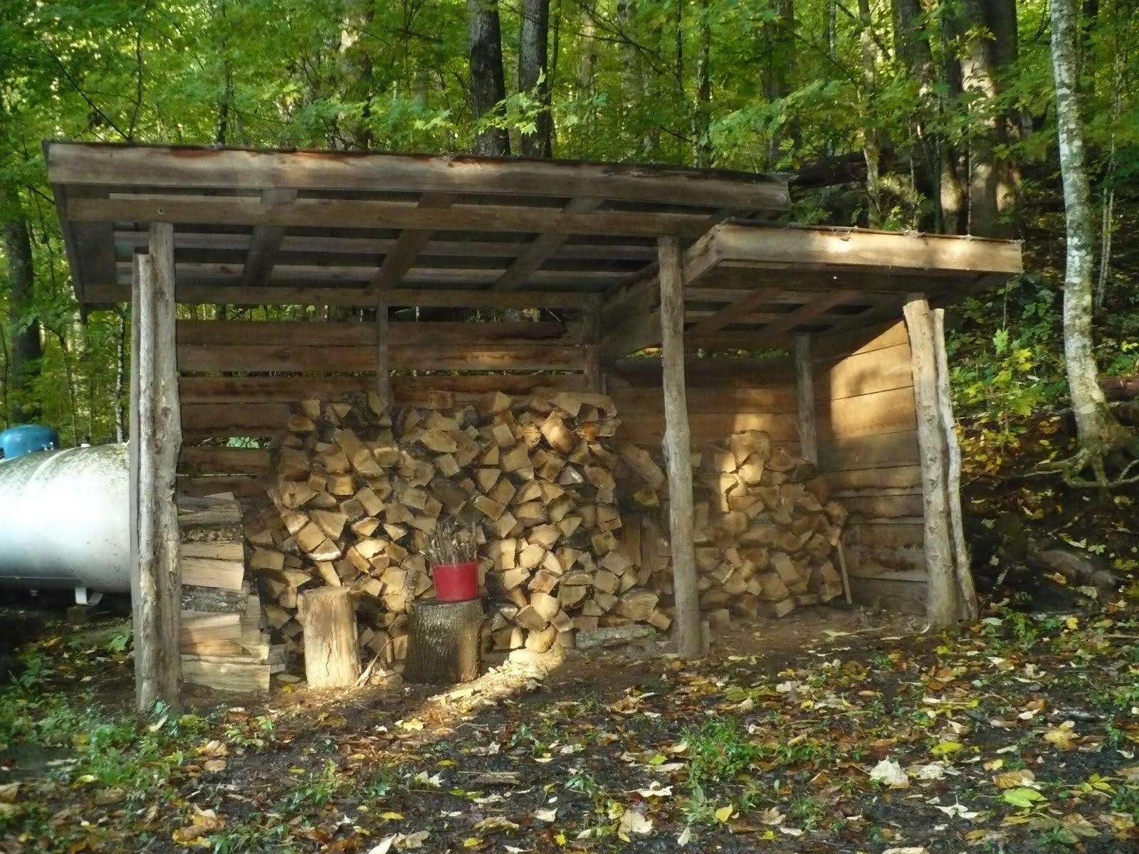 [P1010923.JPG]