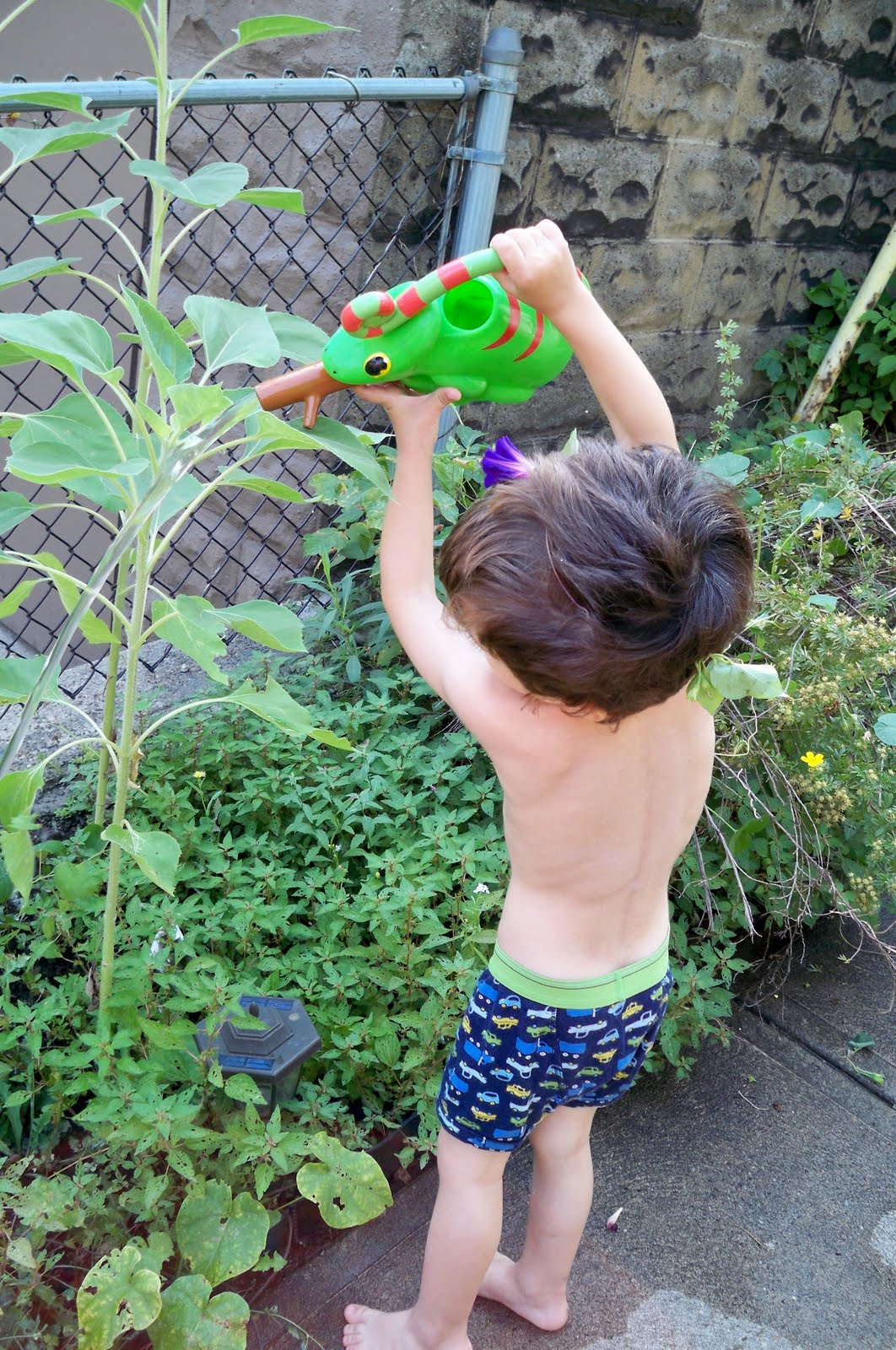 4 Pounds of Trouble Life with Donovan August 2010