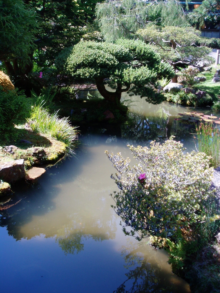 [Japanese+tea+garden.jpg]