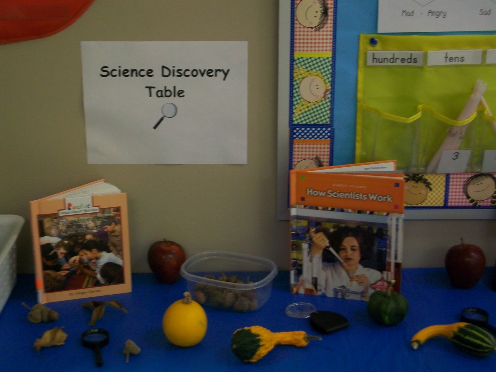 Mrs. Wheeler's First Grade Tidbits Science Discovery Table