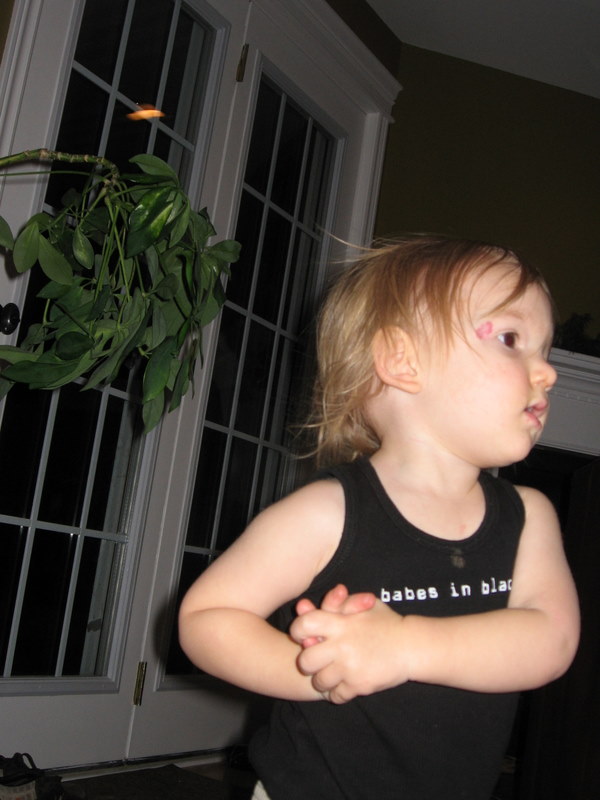 [december+2006+260.jpg]