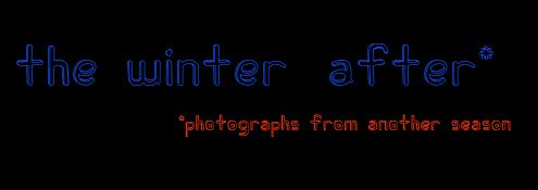 the winter after