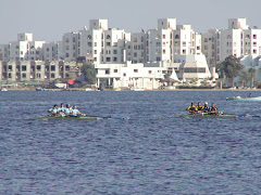 بحيرة التمساح