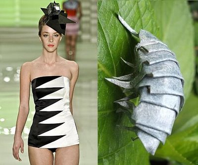 [new_andrelima4.jpg]