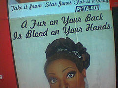 [9702716_f0e5723e64_m.jpg]