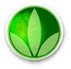 HERBALIFE