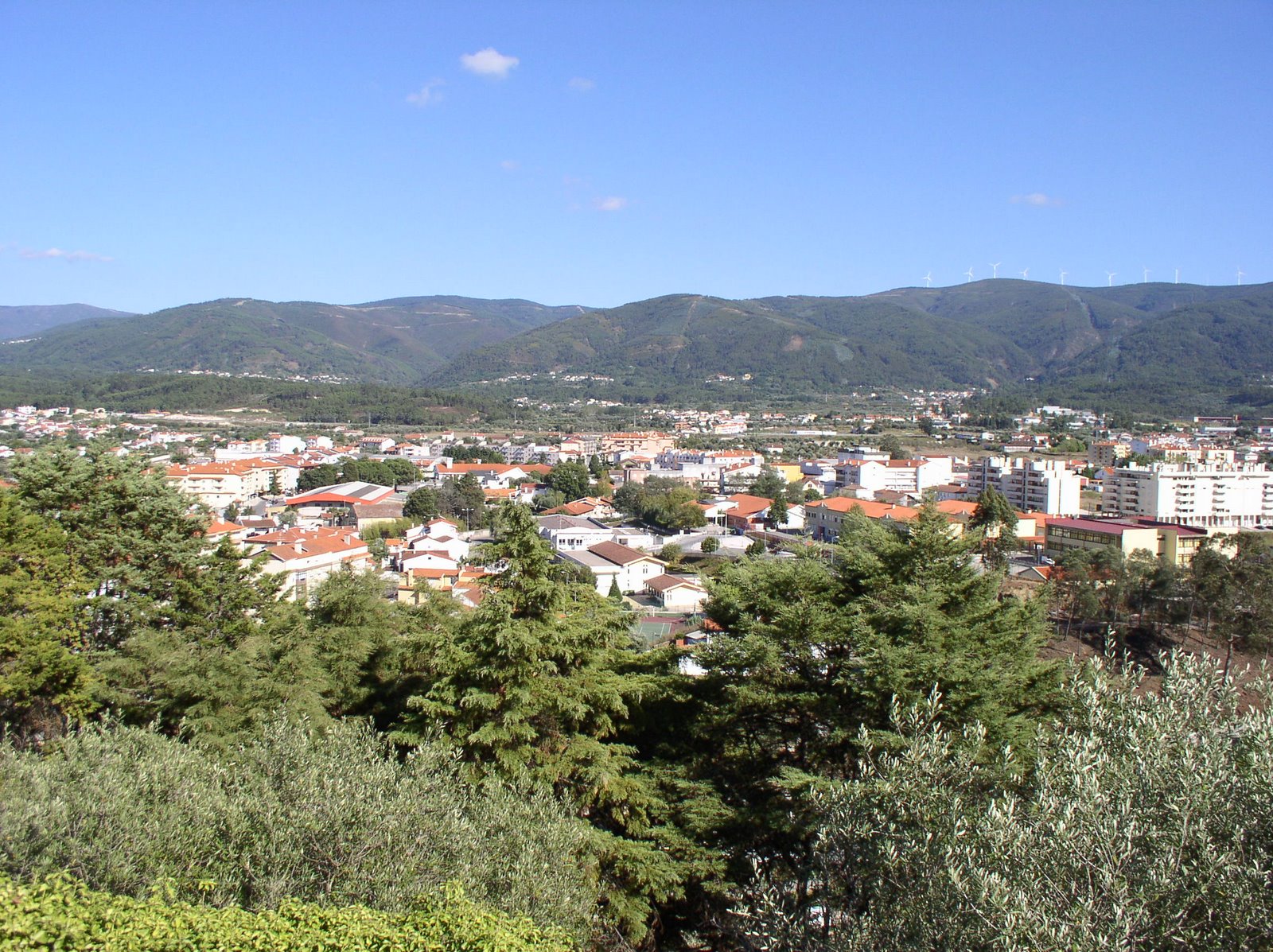 [P1010050.JPG]
