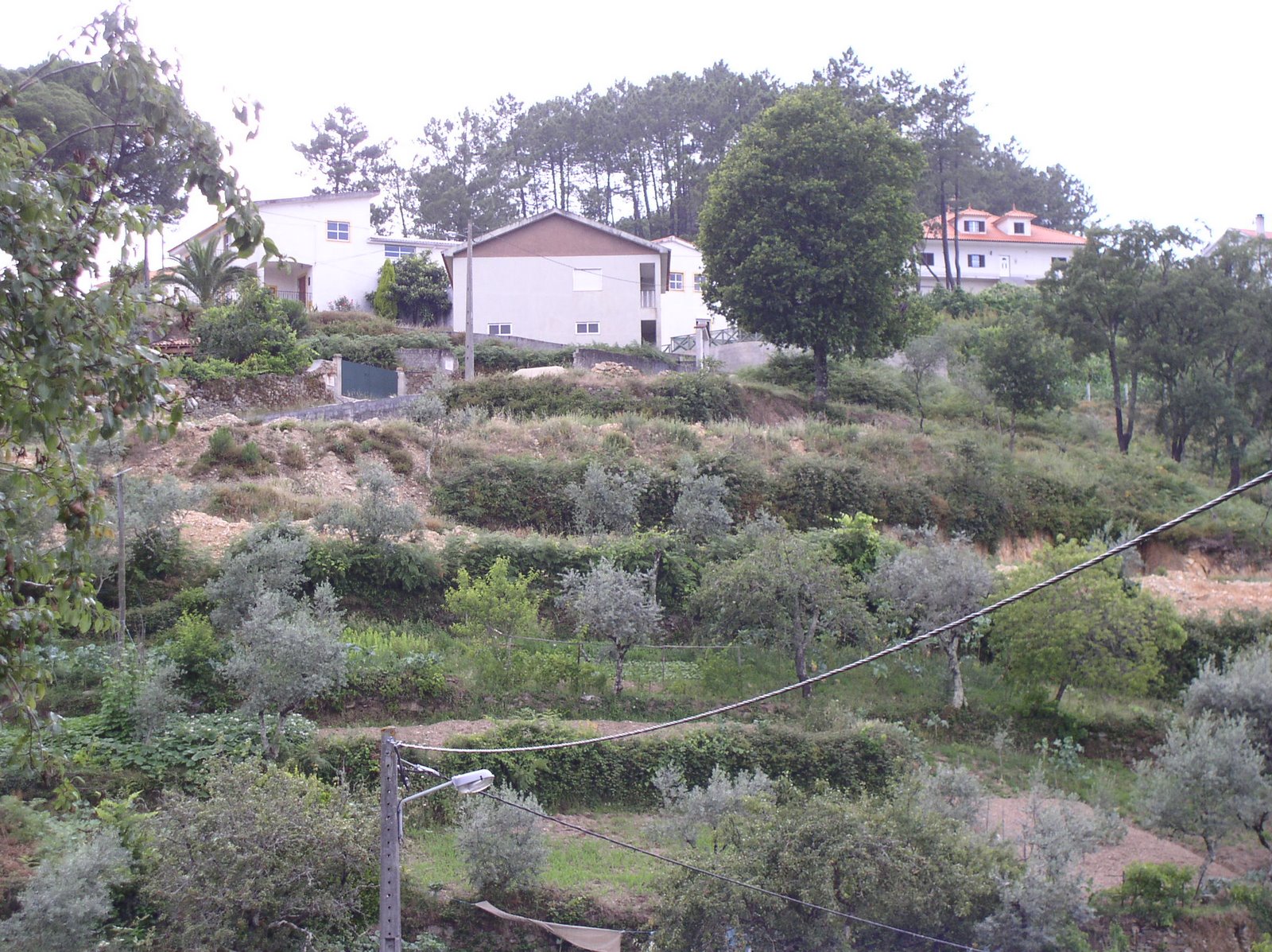 [P1010103.JPG]