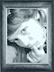 Mi foto