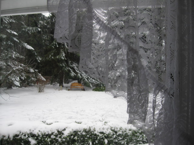 A Peaceful Snowy Morning