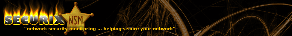 [securix-nsm-banner.png]