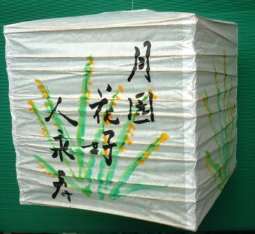 [Cube+small+for+website.JPG]