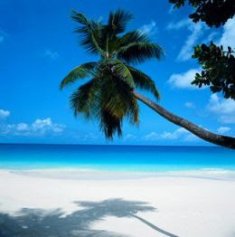 beautiful beaches Beaches of South Walton in Florida Vacation Rentals by Owner