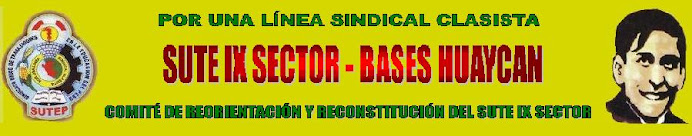 Sute IX sector