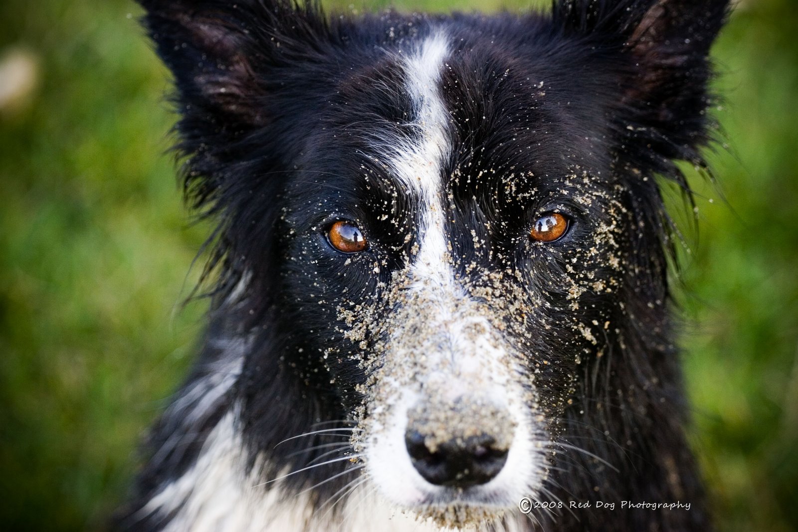 [sand+face.jpg]