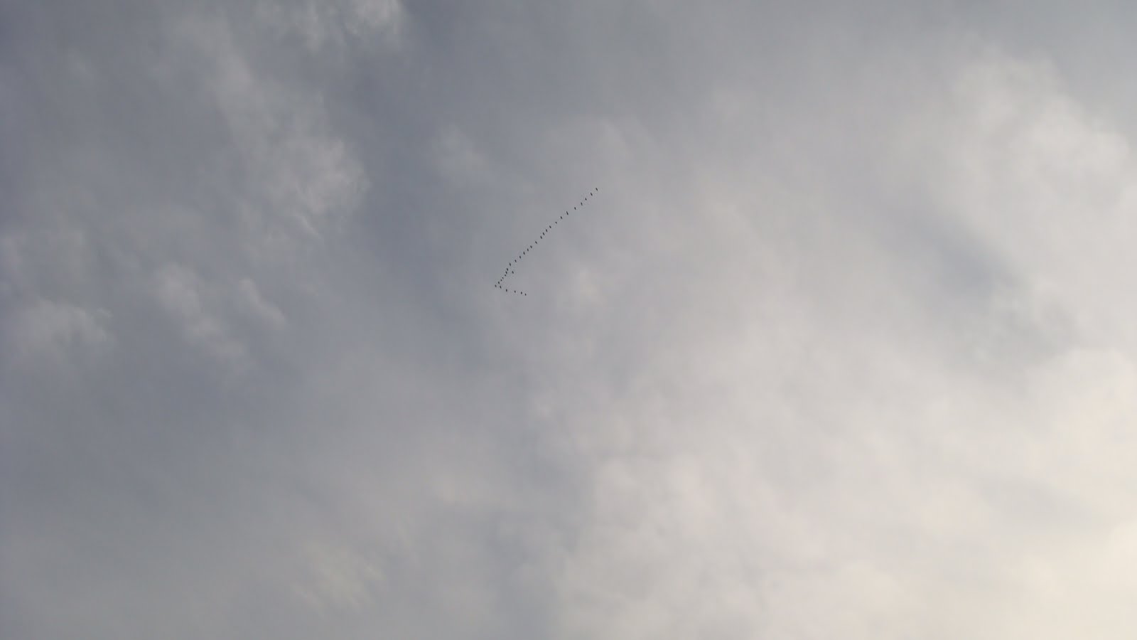 [DSC07694.JPG]
