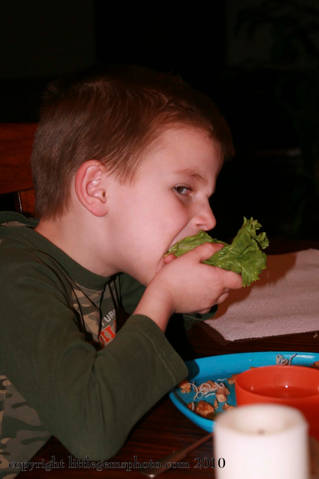 [IMG_4124_1+copy.jpg]