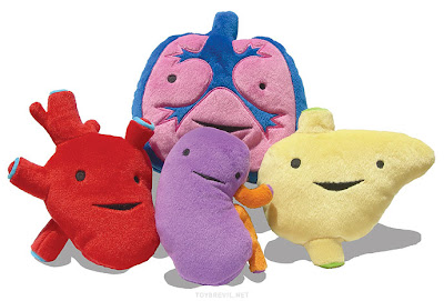 guts plush