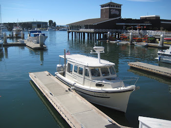 Sunny Morning In Oakland