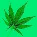 Marijuana Connections. Find Ratings on Top Medical Marijuana Clinics, Marijuana Dispensaries, Caregivers, Cannabis Cultivators, MMJ Card Doctors,
