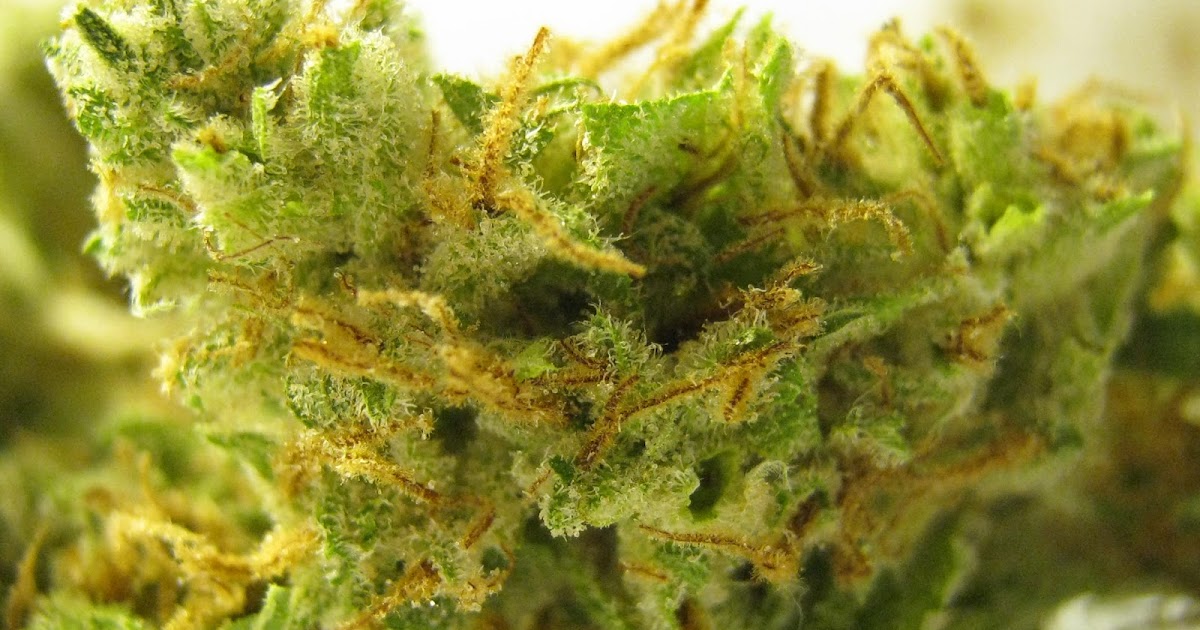 Banana Kush MMJ Strain Review + Info