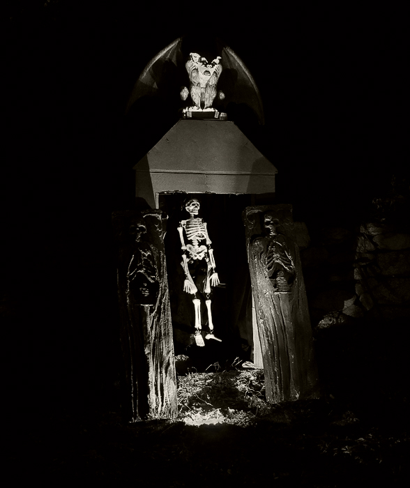 [Skeleton+in+Cemetery.jpg]