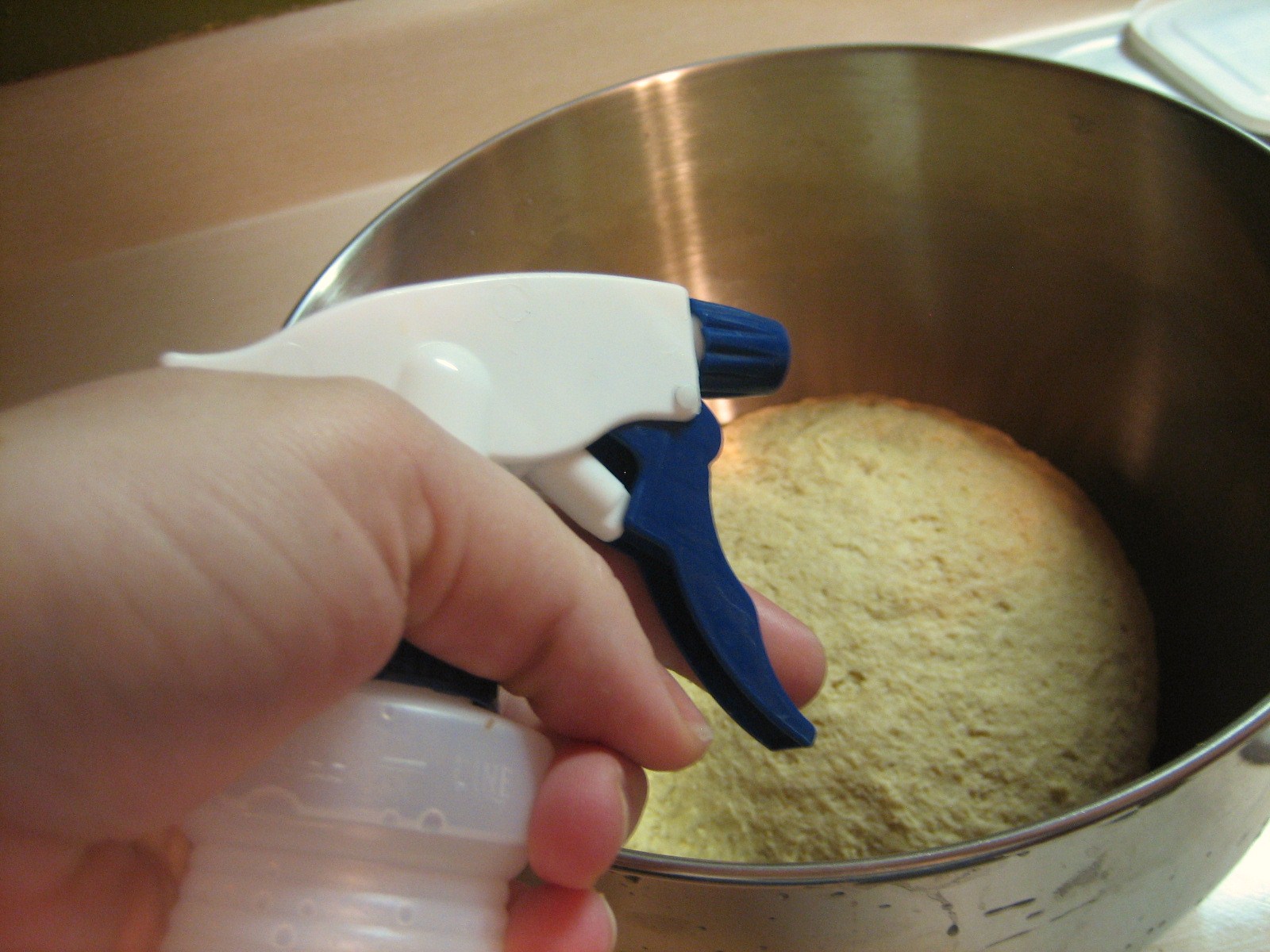 [ONstartedbread+085.JPG]