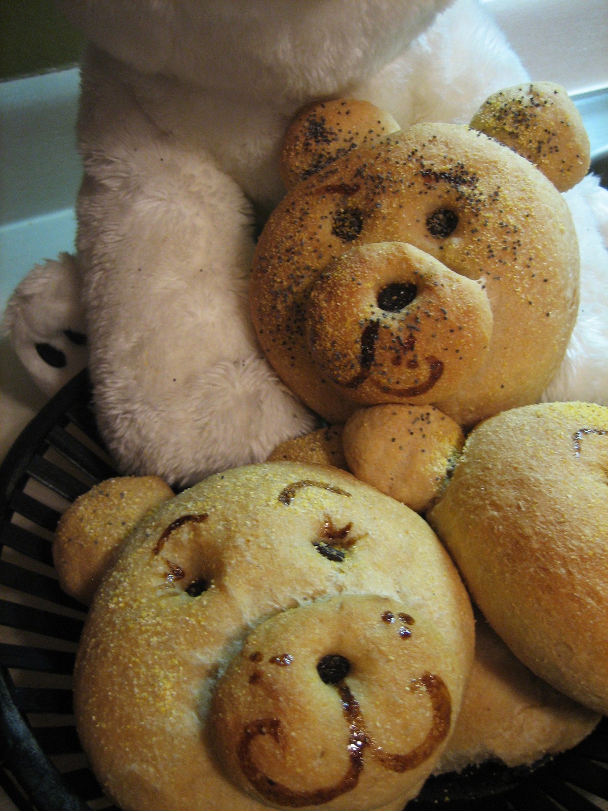 [bearbuns+061.JPG]