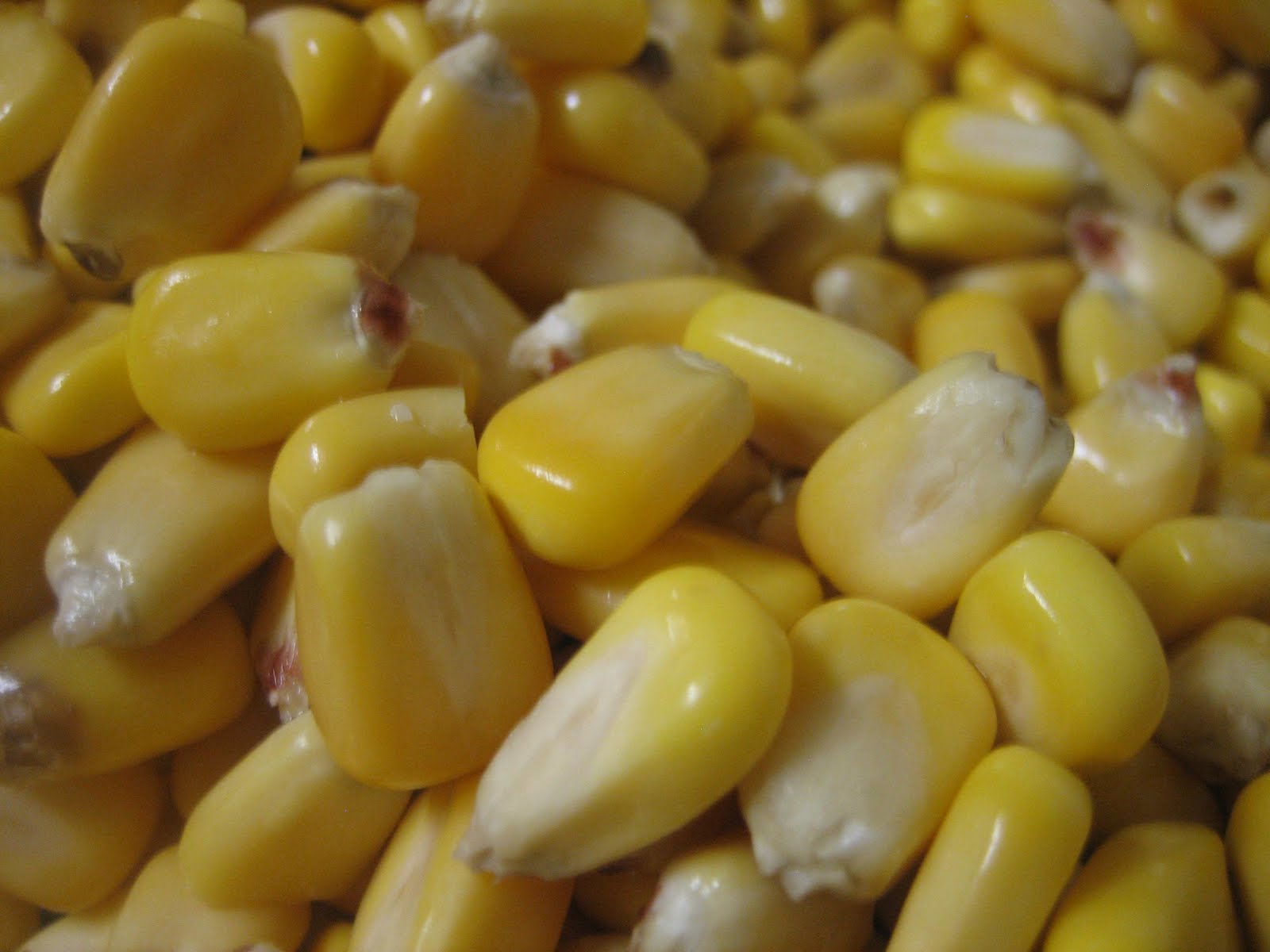 Chef Tess Bakeresse Homemade Corn "nuts"