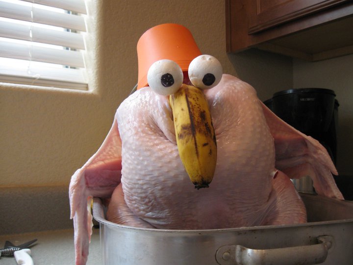 Funny Turkey Pictures Funny Turkey Pictures