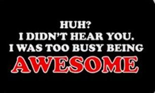 [awesome.jpg]