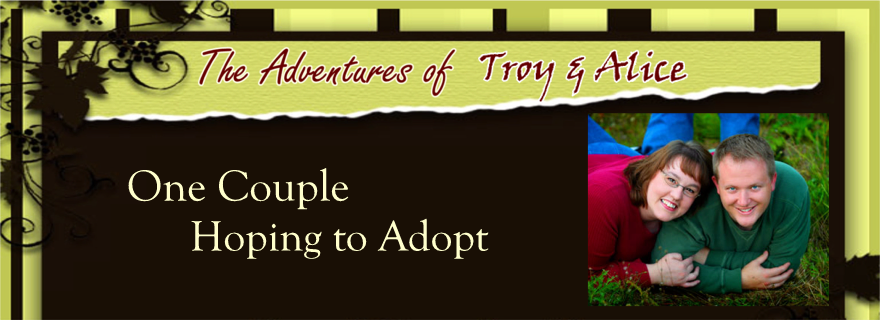 The Adventures of Troy and Alice