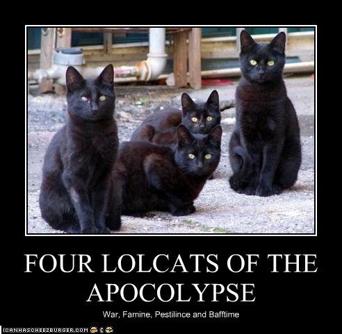[lolcats+of+the+apocalypse.bmp]