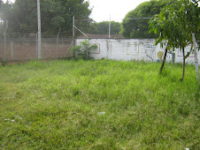 Antes del Kiosko