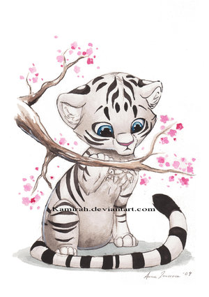 dresses Tiger wallpaper wallpaper tiger baby. dresses Tiger wallpaper