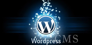 The Importance of Wordpress as a CMS