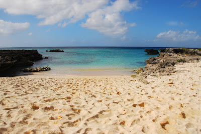 Smith's Cove, Grand Cayman's Magical Wedding Spot - image 3 Smith's Cove, Grand Cayman's Magical Wedding Spot - image 3
